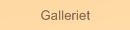 Galleriet