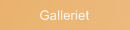 Galleriet