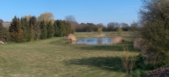 Sen, hvorom en eventuel Skulpturpark kunne placeres